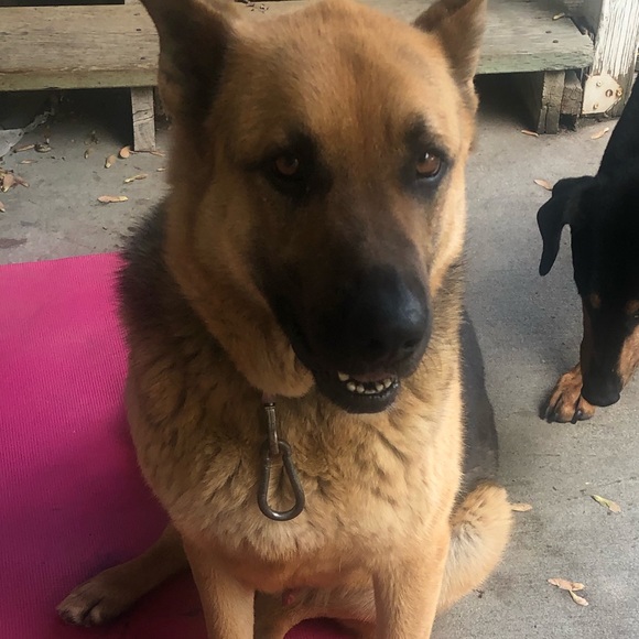 Meet your Posher - Picture 1 of 1